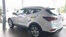 Hyundai Santa Fe  2.4 AT 2018 - Bán Hyundai Santa Fe 2.4 AT tiêu chuẩn 2018, hỗ trợ vay 85% giá trị xe - Hotline: 0935.90.41.41 - 0948.94.55.99