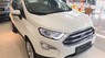 Ford EcoSport Titanium 1.5L Dragon 2018 - Bán xe Ford EcoSport Titanium 1.5L Dragon đời 2018, màu trắng