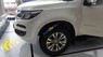 Chevrolet 2.5L (4x4) AT LTZ 2018 - Bán xe Chevrolet Trailblazer LTZ đời 2018, khuyến mãi khủng, quà tặng hấp dẫn, hỗ trợ vay ngân hàng 80 % giá trị xe