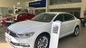 Volkswagen Passat Bluemotion 2018 - Bán Volkswagen Passat Bluemotion giá tốt nhất, giao xe ngay toàn quốc, hỗ trợ trả góp-090.364.3659