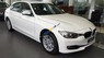 BMW 3 Series 320i 2017 - Cần bán BMW 3 Series 320i sản xuất 2017, màu trắng, nhập khẩu