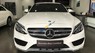 Mercedes-Benz C class C300 AMG 2017 - Cần bán Mercedes C300 AMG năm sản xuất 2017 