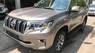 Toyota Prado VX 2.7L 2018 - Cần bán Toyota Prado VX 2.7L sản xuất 2018, nhập khẩu nguyên chiếc