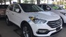 Hyundai Santa Fe 2018 - Bán xe Hyundai Santa Fe đời 2018, màu trắng- Xe mới hoàn toàn