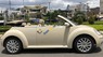 Volkswagen Beetle 2.5 2009 - Bán Volkswagen Beetle 2.5 sản xuất 2009, màu kem (be), nhập khẩu  