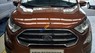 Ford EcoSport 1.0 Ecoboost Titanium+ 2018 - Bán ô tô Ford EcoSport 1.0 Ecoboost Titanium+ 2018, màu nâu, giá 689tr