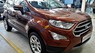 Ford EcoSport 1.0 Ecoboost Titanium+ 2018 - Bán ô tô Ford EcoSport 1.0 Ecoboost Titanium+ 2018, màu nâu, giá 689tr