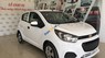 Chevrolet Spark Van 2018 - Bán xe Chevrolet Spark Van năm 2018, màu trắng