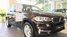 BMW X5 2017 - Cần bán xe BMW X5 sản xuất 2017, màu nâu, nhập khẩu nguyên chiếc