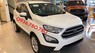 Ford EcoSport 2018 - Ecosport Trend giá rẻ Sài Gòn, báo giá Ecosport Trend nhiều ưu đãi 