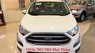 Ford EcoSport 2018 - Ecosport Trend giá rẻ Sài Gòn, báo giá Ecosport Trend nhiều ưu đãi 