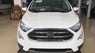 Ford EcoSport Ambiente 1.5 MT 2018 - Bán Ford Ecosport Ambiente 1.5 MT 2018