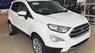 Ford EcoSport Ambiente 1.5 MT 2018 - Bán Ford Ecosport Ambiente 1.5 MT 2018