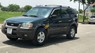 Ford Escape 3.0 V6 2002 - Bán Ford Escape 3.0 V6 đời 2002, màu xanh lam như mới