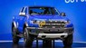 Ford Ranger Raptor 2018 - Bán Ford Ranger Raptor năm 2018, nhận đặt cọc từ hôm nay, giá tạm tính 1 tỷ