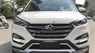 Hyundai Tucson 2.0 2016 - Bán Hyundai Tucson 2.0 năm sản xuất 2016, màu trắng, nhập khẩu  
