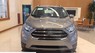 Ford EcoSport 2018 - Bán xe Ford EcoSport năm 2018, màu xám, 648 triệu