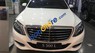 Mercedes-Benz S class S500  2017 - Bán xe Mercedes S500 mới 100%, model 2017