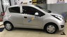 Chevrolet Spark LS 1.2 MT 2016 - Bán xe Chevrolet Spark LS 1.2 MT đời 2016, màu bạc