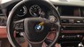BMW 5 Series 2016 - Cần bán BMW 5 Series 2016, màu trắng, xe nhập