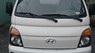 Hyundai New Porter  2023 - Trung tâm phân phối các loại xe tải Hyundai New Porter, Mighty, HD1000