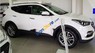 Hyundai Santa Fe 2018 - Cần bán Hyundai Santa Fe năm 2018, màu trắng giá cạnh tranh 