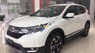 Honda CR V 1.5 G 2018 - Bán Honda CR V 1.5 G năm sản xuất 2018, nhập khẩu