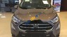 Ford EcoSport 1.5L AT Titanium 2018 - Cần bán xe Ford EcoSport 1.5L AT Titanium 2018, màu nâu, giá 648tr