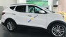 Hyundai Santa Fe 2018 - Bán xe Hyundai Santa Fe sản xuất năm 2018, màu trắng