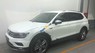 Volkswagen Tiguan Allspace 2018 - Bán xe Volkswagen Tiguan Allspace đời 2018, màu trắng, nhập khẩu, giá tốt