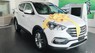 Hyundai Santa Fe 2018 - Bán xe Hyundai Santa Fe sản xuất năm 2018, màu trắng