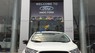 Ford EcoSport 2018 - Bán Ford Ecosport 2018 với thiết kế mạnh mẽ, khẳng định phong cách Crossover/Suv cỡ nhỏ
