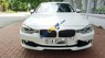 BMW 3 Series  320i 2013 - Bán ô tô BMW 3 Series 320i đời 2013, màu trắng, nhập khẩu