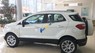 Ford EcoSport 2018 - Bán Ford Ecosport 2018 giá từ 525tr - Vay trả góp 80% trong 9 năm - Hỗ trợ thủ tục nhanh gọn - Giao xe toàn quốc