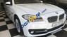 BMW 5 Series  520i 2.0 AT  2015 - Bán xe BMW 520i 2.0 AT sản xuất năm 2015, màu trắng, nhập khẩu, xe đẹp như hãng