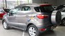 Ford EcoSport Ambiente 1.4MT 2014 - Bán xe Ford EcoSport Ambiente 1.4MT đời 2014, màu nâu 