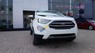 Ford EcoSport Titanium 1.5L AT 2018 - Bán Ford Ecosport Titanium 1.5L AT 2018, giá tốt nhất miền Nam