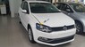 Volkswagen Polo 2016 - Bán Volkswagen Polo năm sản xuất 2016, màu trắng, nhập khẩu nguyên chiếc, 550 triệu