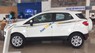 Ford EcoSport 2018 - Bán Ford Ecosport 2018 - Chuyên gia đường phố