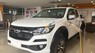 Chevrolet Colorado 2018 - Bán Colorado phiên bản số tự động mới về, hỗ trợ vay 90% xe lãi suất hấp dẫn, liên hệ giá kịch sàn 096.1918.567