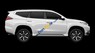Mitsubishi Pajero Sport   2018 - Bán Mitsubishi Pajero Sport sản xuất 2018, màu trắng, xe nhập