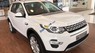 LandRover Discovery 2018 - 0918842662 - Bán LandRover Discovery Sport đời 2018, màu trắng, nhập khẩu, giao ngay