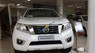 Nissan Navara EL  2018 - Bán Nissan Navara EL năm sản xuất 2018, màu trắng, xe nhập, giá chỉ 645 triệu, gọi ngay: 098.590.4400