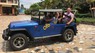 Jeep Wrangler   1980 - Cần bán lại xe Jeep Wrangler năm 1980, màu xanh lam