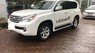 Lexus GX460 2010 - Cần bán Lexus GX460 2010 xuất Mỹ đăng ký 2011, ful kịch đồ 