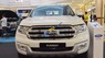 Ford Everest Trend 2.0L AT 4x2 2018 - Bán Ford Everest 2019, nhập khẩu Thái, giá tốt nhất, hỗ trợ trả góp đến 80% - Liên hệ: 0908869497