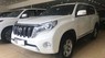 Toyota Prado TXL 2014 - Cần bán lại xe Toyota Prado TXL 2014, màu trắng, nhập khẩu Nhật, biển Hà Nội