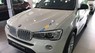 BMW X3   Xdrive 20i  2017 - Bán xe BMW X3 Xdrive 20i sản xuất 2017, màu trắng, nhập khẩu nguyên chiếc