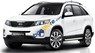 Kia Sorento GAT 2018 - Bán xe Kia Sorento GAT sản xuất năm 2018, màu trắng 