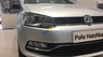 Volkswagen Polo 2015 - Bán ô tô Volkswagen Polo năm sản xuất 2015, màu bạc, nhập khẩu nguyên chiếc, giá tốt